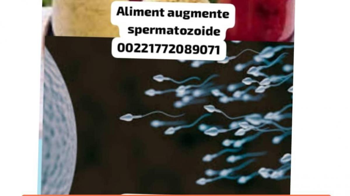 Img 20250319 wa0002